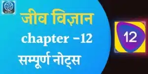 NCERT Class 12 Biology Chapter 12, "Biotechnology and its Applications," covers the various applications of biotechnology in various fields such as medicine, agriculture, and industry. Topics covered in the chapter include: Recombinant DNA technology and its applications Genetically modified organisms (GMOs) and their applications Biotechnology in medicine (e.g. production of insulin and vaccines) Biotechnology in agriculture (e.g. crop improvement and pest control) Biotechnology in industry (e.g. production of enzymes and biofuels) Ethics and safety concerns related to biotechnology It also covers the techniques used in biotechnology like genetic engineering, tissue culture and fermentation.