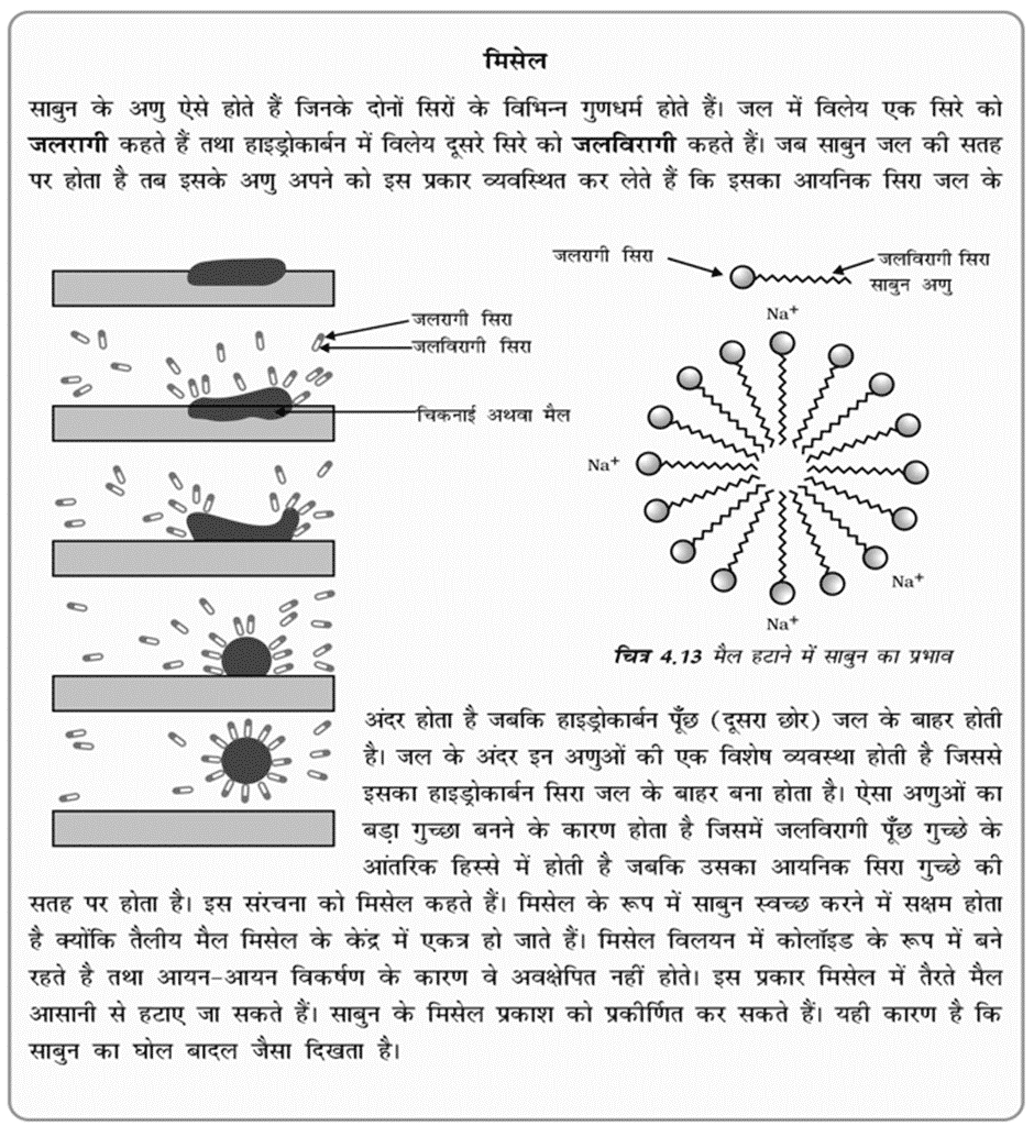 मिसेल की सरचना