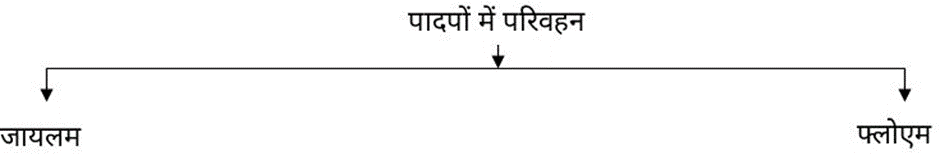 Transport in plants पादपों में परिवहन