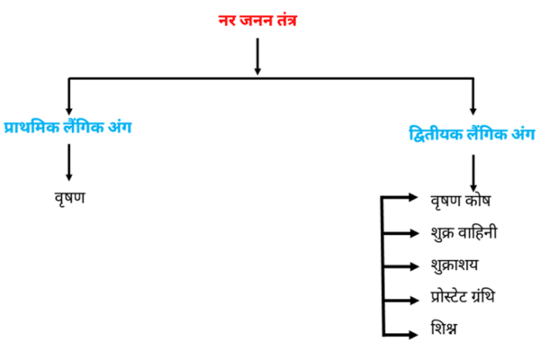 United States ten-dollar bill visual data 4