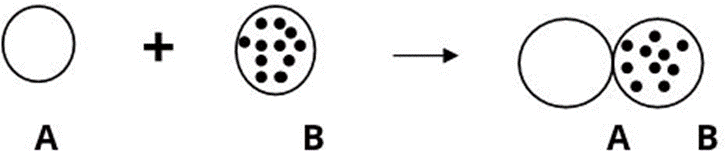 Class 10 science chapter 1