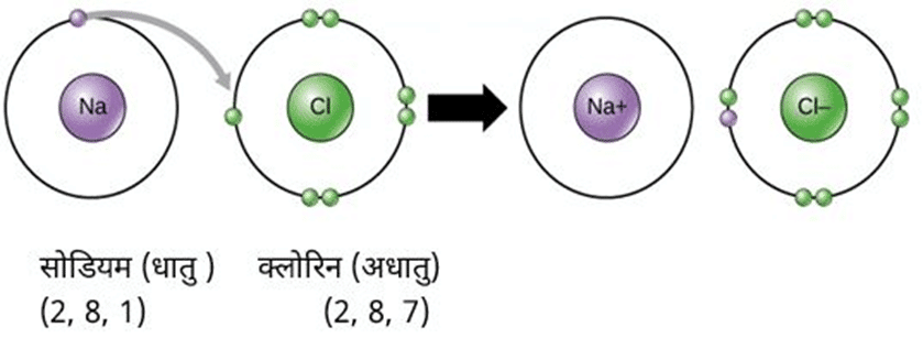 Class 10 science chapter 3