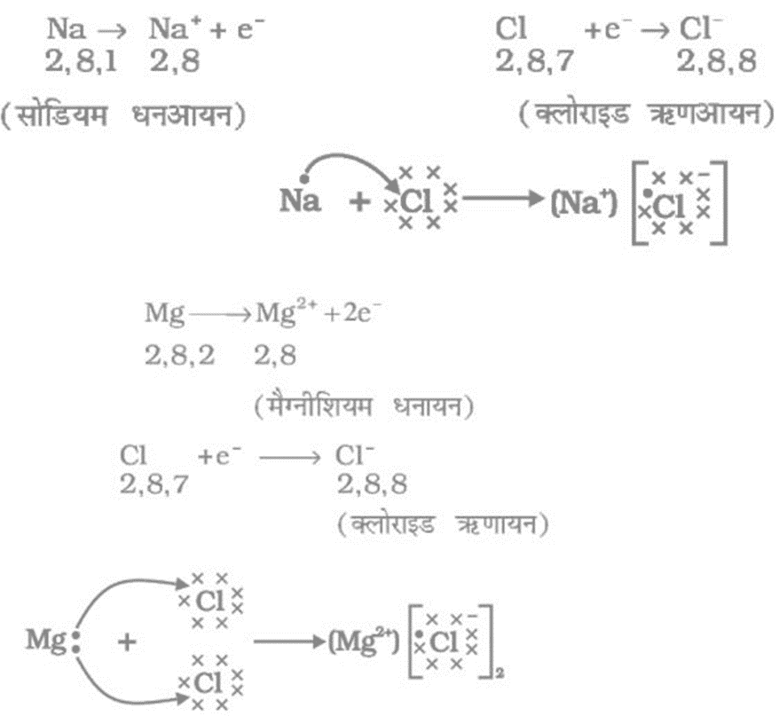 Class 10 science chapter 3