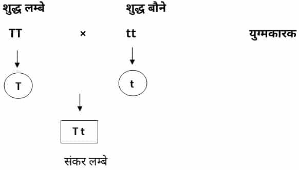 Class 10 science chapter 9