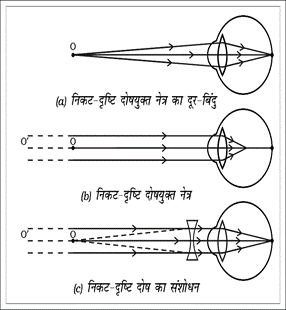 Ncert class 10 science chapter 11