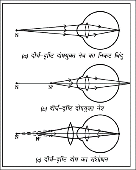 Ncert class 10 science chapter 11