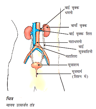 Class 10 science chapter 5