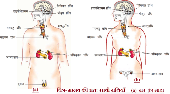 Class 10 science chapter 6