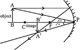 Class 10 science chapter 9