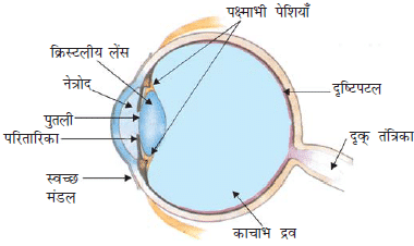 Class 10 science chapter 10