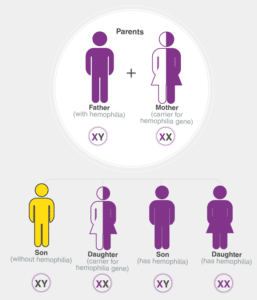 वंशागति (heredity / inheritance)