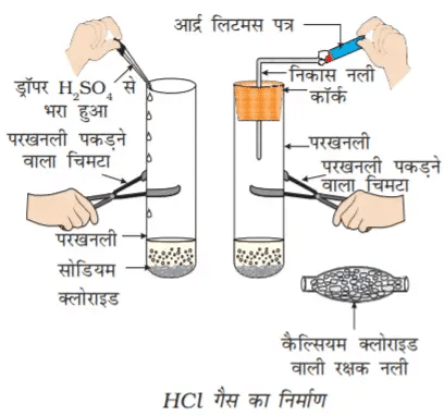 It is clear from this experiment that hydrogen ions are produced in hcl in the presence of water.