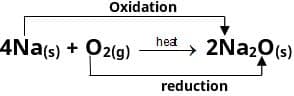 Class 10 science chapter 1